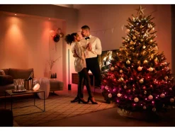 Philips Hue Girlanda LED Festavia* Oświetlenie Zewnętrzne|Girlanda Led