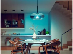 Philips Hue Inteligentna żarówka A67 E27 - 1600* Żarówki