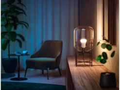 Philips Hue Inteligentna żarówka A60 E27 - 800 (2 szt.)* Żarówki