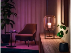 Philips Hue Inteligentna żarówka A60 E27 - 800 (2 szt.)* Żarówki
