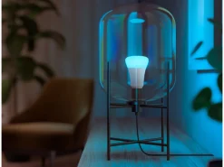 Philips Hue Inteligentna żarówka A60 E27 - 800 (2 szt.)* Żarówki