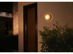 Philips Hue Kinkiet zewnętrzny Daylo* Oświetlenie Zewnętrzne|Lampy Ścienne